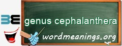 WordMeaning blackboard for genus cephalanthera